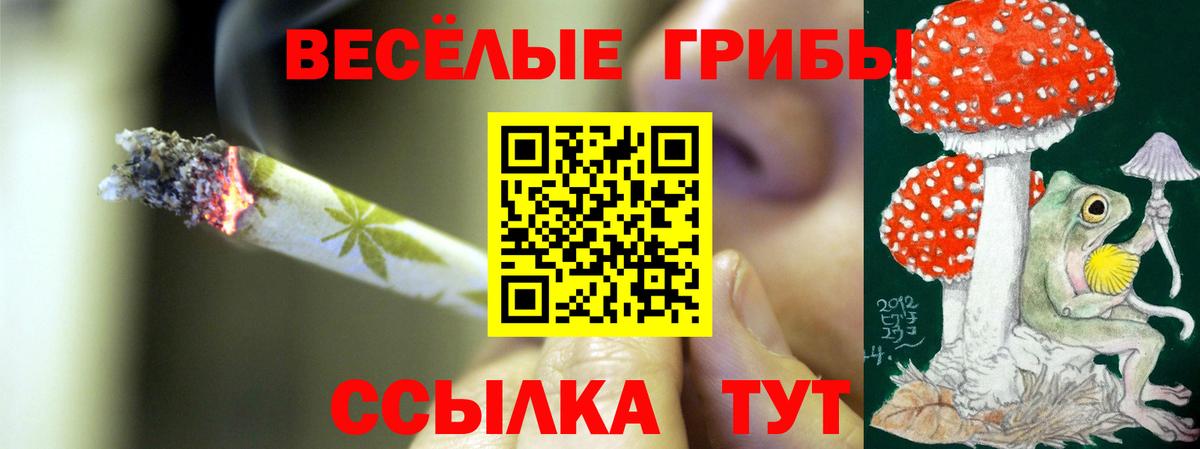 Псилоцибиновые грибы MAGIC MUSHROOMS  Вход с VPN  Сокол  Галлюциногенные грибы мицелий 